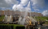 В Петергофе отключили фонтаны и сделали вход бесплатным 
