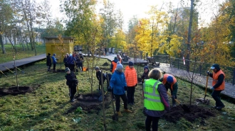 Петербуржцев приглашают на День благоустройства 19 октября