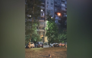 Очевидцы: при пожаре в квартире на Испытателей погиб человек