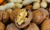 Ежедневное употребление грецких орехов может снизить уровень холестерина 