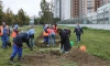 Закон о поддержке НКО в сфере благоустройства принят в Петербурге