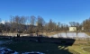 Петербург 24 марта находится в полосе атмосферного фронта