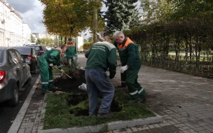 Общегородской субботник пройдёт в Петербурге 21 октября