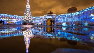 В этом году на Дворцовой площади снова появится живая ель