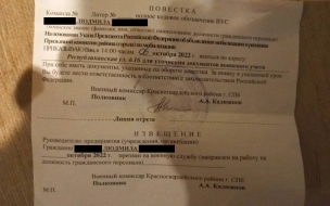Военкомат Петербурга извинился за ошибочную повестку женщине-режиссеру 