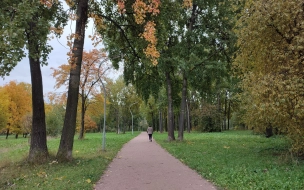 В Петербурге 28 октября пройдут дожди, но будет тепло