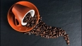 В России могут резко вырасти цены на кофе