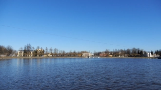 В Петербурге проходит голосование за дизайн-проекты новых общественных пространств в трех районах