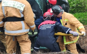 В Кировском районе Ленобласти в ДТП погиб мужчина