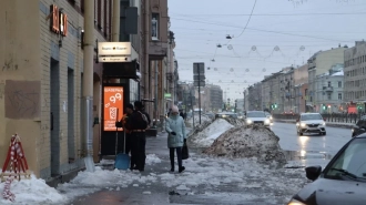В Петербург 23 февраля пришло аномальное тепло