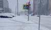"Мари" и "Надя" принесли в Петербург более 25 см снега