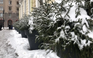 Петербург обновил "снежный максимум" до 23 сантиметров