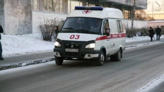 Двух детей госпитализировали из-за сбежавшей лошади на Дворцовой площади