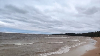 В поселке Солнечное открылся пляж "Ласковый"