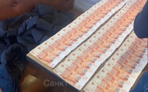 Мужчина добровольно признался в том, что хранил фальшивые деньги в Пушкине