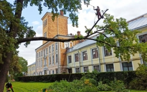 Оранжереи Ботанического сада в Петербурге временно закрыли из-за жары