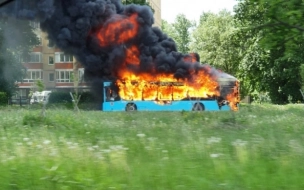 В Петербурге назвали предварительную причину возгорания автобусов "МАЗ"