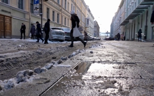 В середине недели в Петербурге ожидается оттепель