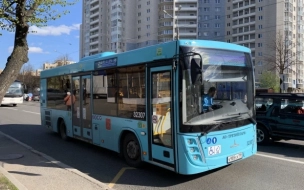 В Петербурге запустили новые автобусы на четырех маршрутах