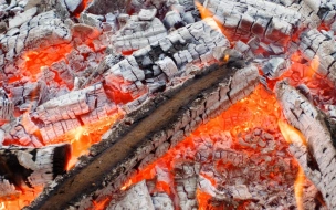 Пенсионерка сгорела во время пожара в деревне Куйвози