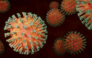 Биолог назвала причину мутации коронавируса 