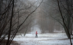 Похолодание, гололедица и сильный ветер прогнозируются в Петербурге 18 февраля
