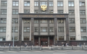 Володин заявил об отсутствии данных о наличии иностранного гражданства у депутатов Госдумы