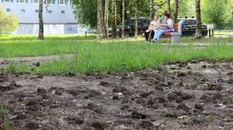 Сад на Рижском проспекте приведут в порядок к началу октября