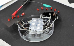 Учёные ИТМО придумали устройство для создания искусственных органов