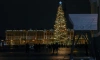 В Петербурге стартует голосование по выбору новогодней елки