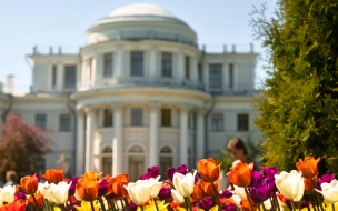 Стало известно, когда пройдет фестиваль тюльпанов в Петербурге