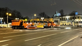 В Петербурге за период с 30 ноября выпало 45 сантиметров снега