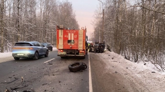 В Белоострове в ДТП пострадали мужчина и девочка