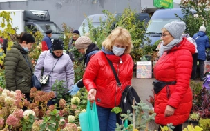 В Выборге открылась ярмарка