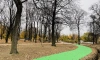 В Заневском парке появится освещение пешеходных дорожек и элементов благоустройства 