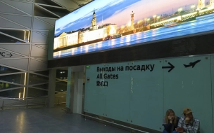 Более 30 рейсов задержали в Пулково утром 7 августа