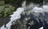 В реке Ижора ликвидировали пятно нефти