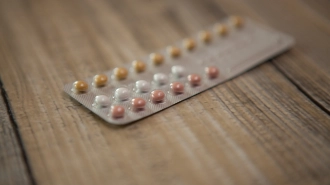 Петербурженки стали чаще покупать оральные контрацептивы