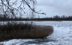 В Петербурге рыбак провалился под лед