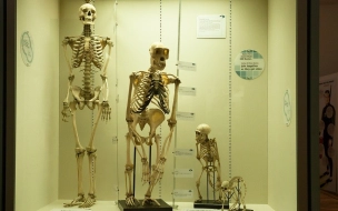 Homo sapiens и неандертальцы жили по соседству на юге Франции 