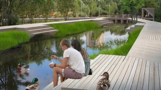 Сквер на берегу Ижорского пруда в Колпино ждёт благоустройство