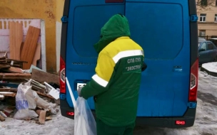 За неделю петербуржцы 250 раз обратились в экологические службы