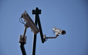 Петербургские камеры видеонаблюдения за месяц зафиксировали более 300 нарушений ПДД