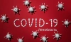 В Ленинградской области за минувшие сутки заболели коронавирусом 243 человека
