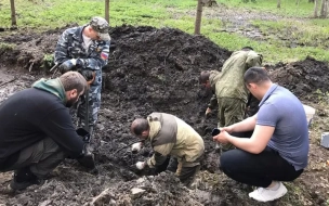 На территории парка "Сильвия" в Гатчине найдены 45 останков убитых мирных жилетей и военнопленных