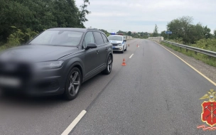 В Киришском районе Ленобласти водительница Audi сбила насмерть 13-летнюю девочку