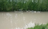 Берега Нижнего Буферного пруда в Приморском районе могут благоустроить