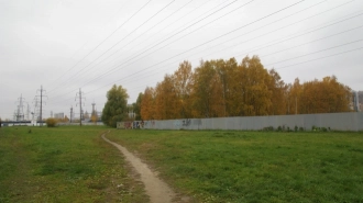 Площадь парка Малиновка увеличат почти на два гектара