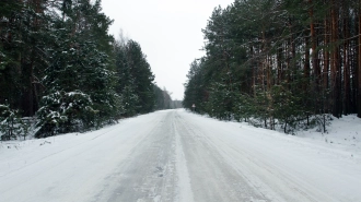 В Ленобласти 14 декабря ожидается до -6 градусов