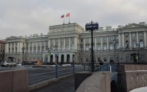 Названы самые медийные политики Петербурга